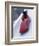 Blurred Action of the Start of 4 Man Bobsled Team, Lake Placid, New York, USA-Chris Trotman-Framed Premium Photographic Print