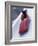 Blurred Action of the Start of 4 Man Bobsled Team, Lake Placid, New York, USA-Chris Trotman-Framed Photographic Print