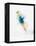 Blurred Action of Woman Figure Skater, Torino, Italy-Chris Trotman-Framed Premier Image Canvas