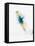 Blurred Action of Woman Figure Skater, Torino, Italy-Chris Trotman-Framed Premier Image Canvas