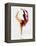 Blurred Action of Woman Figure Skater, Torino, Italy-Chris Trotman-Framed Premier Image Canvas