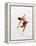 Blurred Action of Woman Figure Skater, Torino, Italy-Chris Trotman-Framed Premier Image Canvas