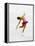 Blurred Action of Woman Figure Skater, Torino, Italy-Chris Trotman-Framed Premier Image Canvas