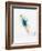 Blurred Action of Woman Figure Skater, Torino, Italy-Chris Trotman-Framed Photographic Print