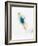 Blurred Action of Woman Figure Skater, Torino, Italy-Chris Trotman-Framed Photographic Print