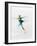 Blurred Action of Woman Figure Skater, Torino, Italy-Chris Trotman-Framed Photographic Print