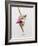 Blurred Action of Woman Figure Skater, Torino, Italy-Chris Trotman-Framed Photographic Print