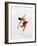 Blurred Action of Woman Figure Skater, Torino, Italy-Chris Trotman-Framed Photographic Print