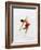 Blurred Action of Woman Figure Skater, Torino, Italy-Chris Trotman-Framed Photographic Print