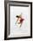 Blurred Action of Woman Figure Skater, Torino, Italy-Chris Trotman-Framed Photographic Print