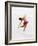 Blurred Action of Woman Figure Skater, Torino, Italy-Chris Trotman-Framed Photographic Print