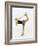 Blurred Action of Woman Figure Skater, Torino, Italy-Chris Trotman-Framed Photographic Print