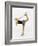 Blurred Action of Woman Figure Skater, Torino, Italy-Chris Trotman-Framed Photographic Print