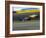 Blurred Auto Racing Action-null-Framed Photographic Print