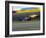 Blurred Auto Racing Action-null-Framed Photographic Print