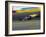 Blurred Auto Racing Action-null-Framed Photographic Print