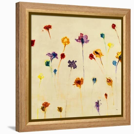 Blurred Dream-Randy Hibberd-Framed Stretched Canvas