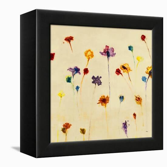 Blurred Dream-Randy Hibberd-Framed Stretched Canvas