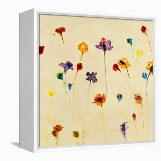 Blurred Dream-Randy Hibberd-Framed Stretched Canvas