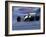 Blurred F1 Auto Racing Action-null-Framed Photographic Print