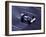 Blurred F1 Auto Racing Action-null-Framed Photographic Print