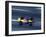 Blurred F1 Auto Racing Action-null-Framed Photographic Print