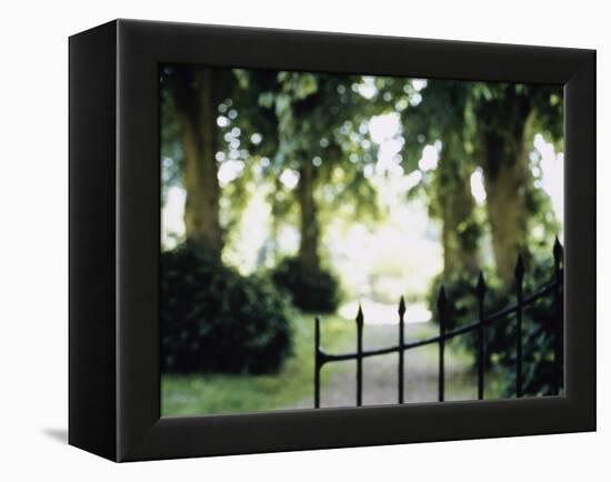 Blurred Image of a Gate and Woodland Path-null-Framed Premier Image Canvas