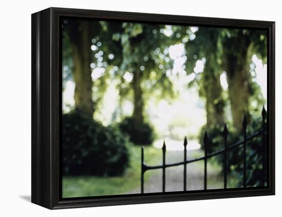 Blurred Image of a Gate and Woodland Path-null-Framed Premier Image Canvas