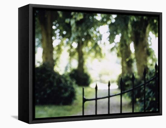 Blurred Image of a Gate and Woodland Path-null-Framed Premier Image Canvas