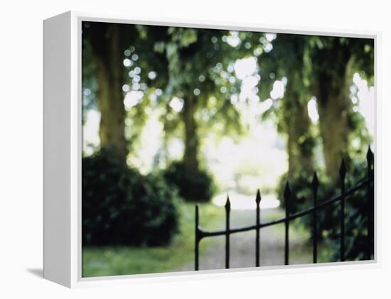 Blurred Image of a Gate and Woodland Path-null-Framed Premier Image Canvas