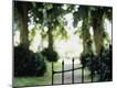Premium Photographic Print