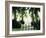 Blurred Image of a Gate and Woodland Path-null-Framed Photographic Print