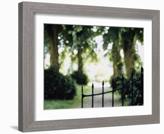 Blurred Image of a Gate and Woodland Path-null-Framed Photographic Print