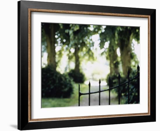 Blurred Image of a Gate and Woodland Path-null-Framed Photographic Print