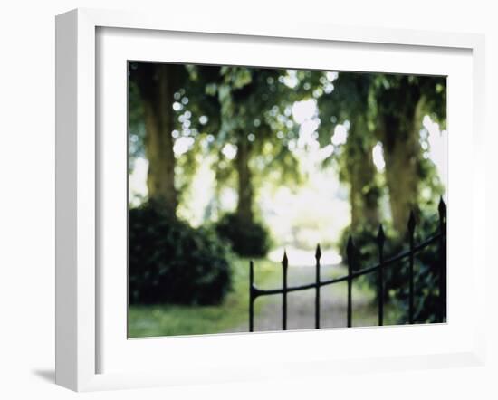 Blurred Image of a Gate and Woodland Path-null-Framed Photographic Print