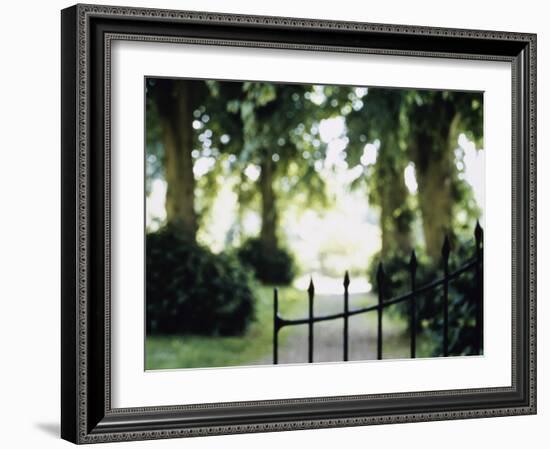 Blurred Image of a Gate and Woodland Path-null-Framed Photographic Print