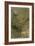 Blurred Image Of Flowers-Fay Godwin-Framed Giclee Print