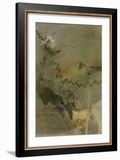 Blurred Image Of Flowers-Fay Godwin-Framed Giclee Print