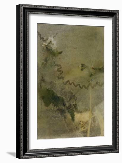 Blurred Image Of Flowers-Fay Godwin-Framed Giclee Print