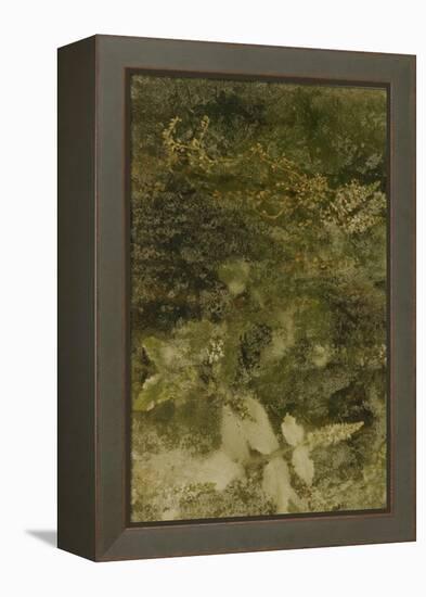 Blurred Image Of Flowers-Fay Godwin-Framed Premier Image Canvas