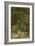 Blurred Image Of Flowers-Fay Godwin-Framed Giclee Print