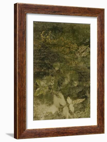 Blurred Image Of Flowers-Fay Godwin-Framed Giclee Print