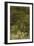 Blurred Image Of Flowers-Fay Godwin-Framed Giclee Print