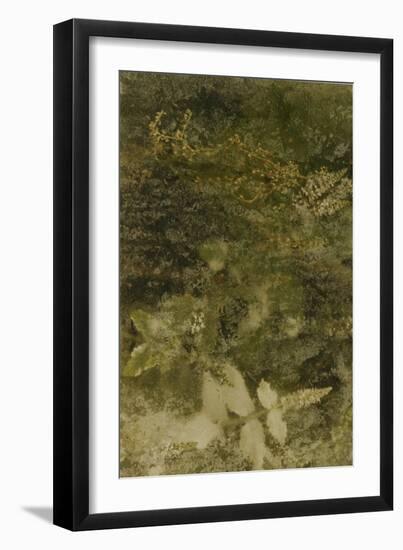 Blurred Image Of Flowers-Fay Godwin-Framed Giclee Print