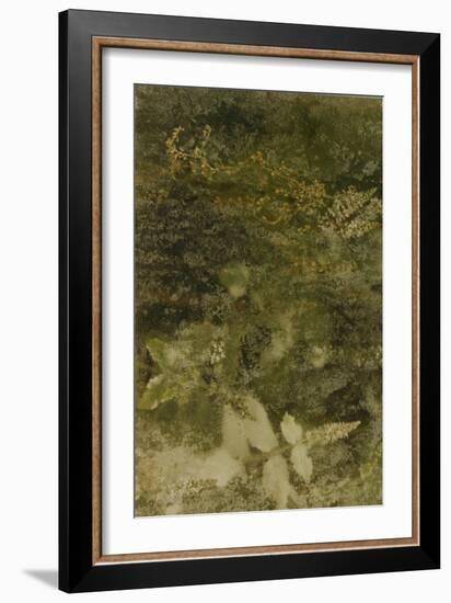 Blurred Image Of Flowers-Fay Godwin-Framed Giclee Print