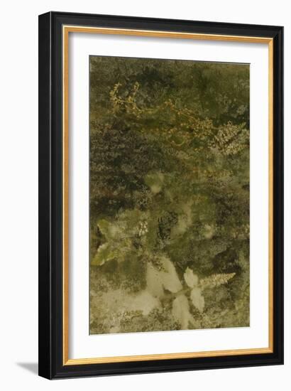 Blurred Image Of Flowers-Fay Godwin-Framed Giclee Print