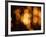 Blurred Lights-null-Framed Photographic Print