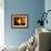Blurred Lights-null-Framed Photographic Print displayed on a wall