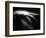 Blurred Sea Slug-Henry Horenstein-Framed Photographic Print