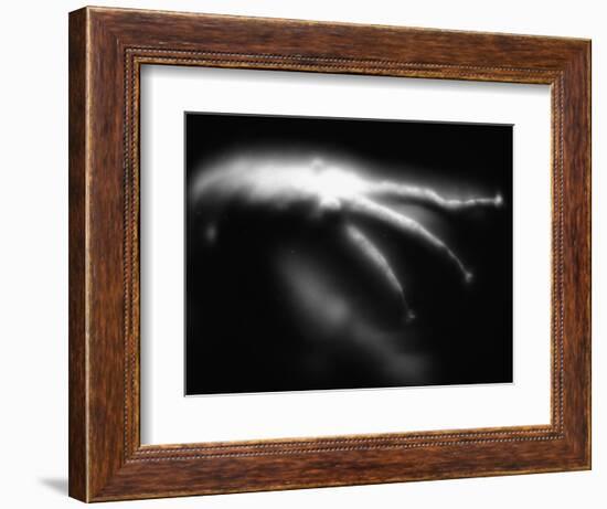 Blurred Sea Slug-Henry Horenstein-Framed Photographic Print